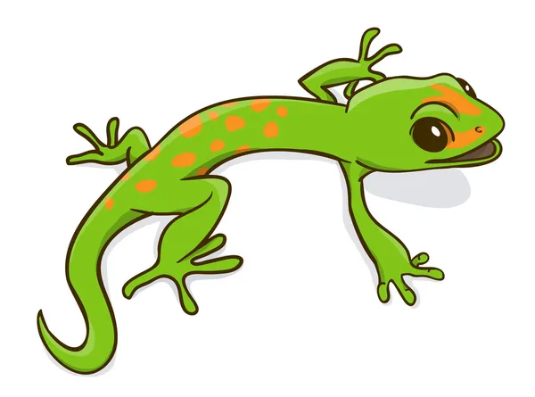 Gecko phelsuma — Vector de stock