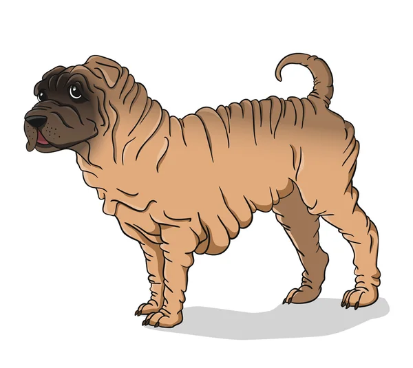 Shar pei pies sarna — Wektor stockowy