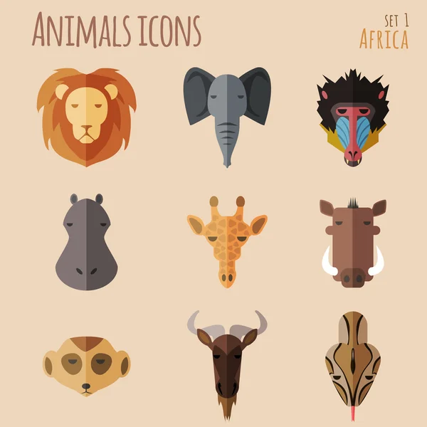 African Animal Portrait Set with Flat Design — Stock Vector