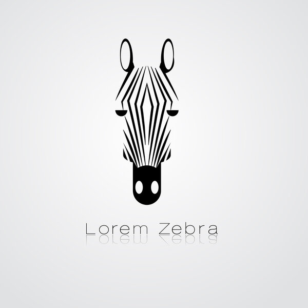 Zebra head on white background