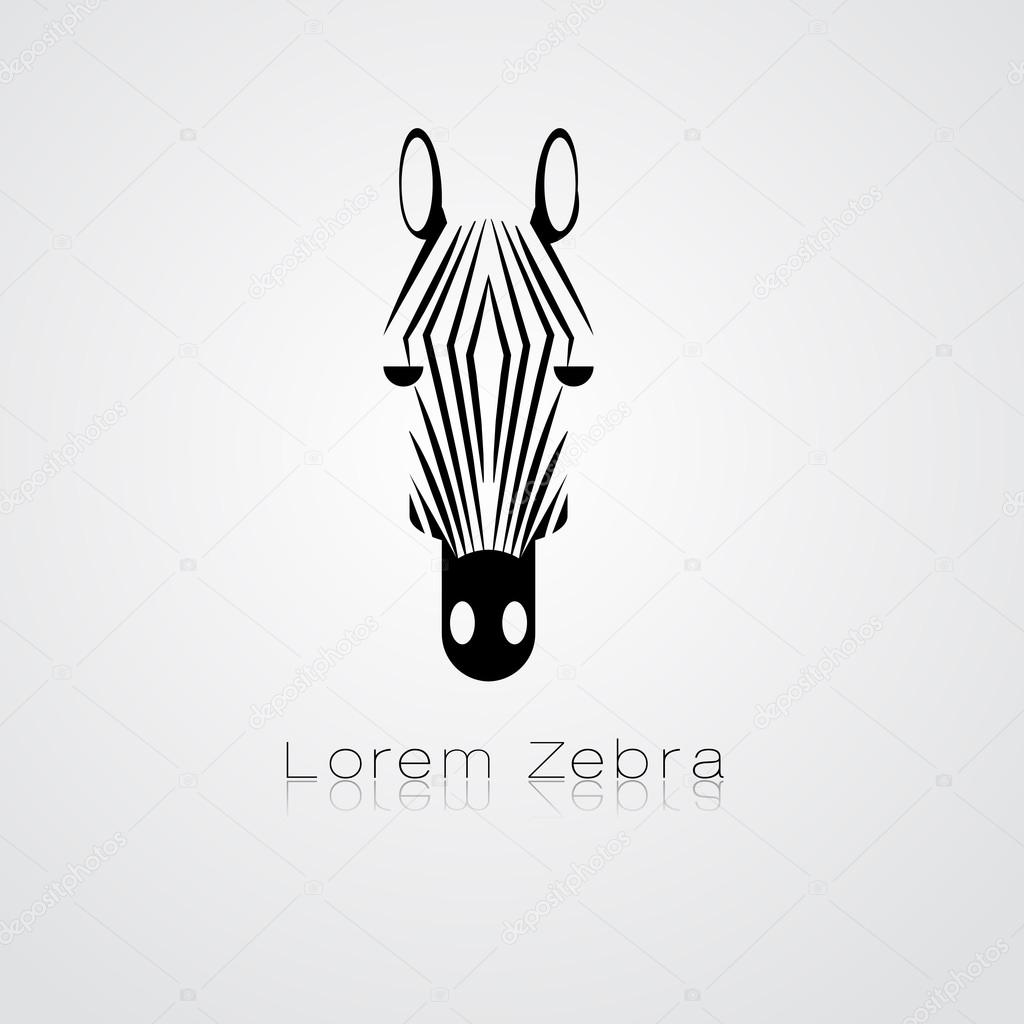 Zebra head on white background