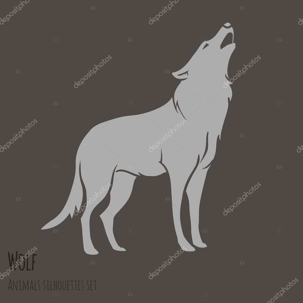 Grey Wolf Silhouette on brown background. vector illustration