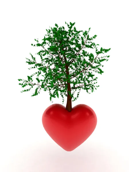 Heart tree — Stock Photo, Image