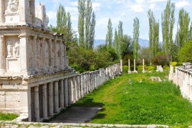 Aphrodisias ana cadde