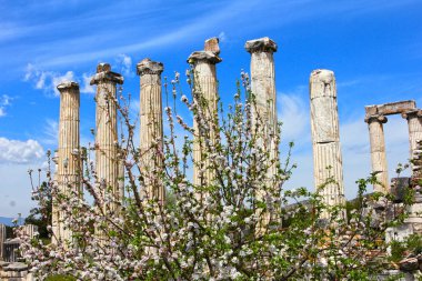 Aphrodisias bahar