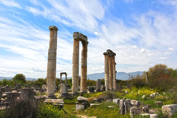 Aphrodisias straat kolommen — Stok fotoğraf