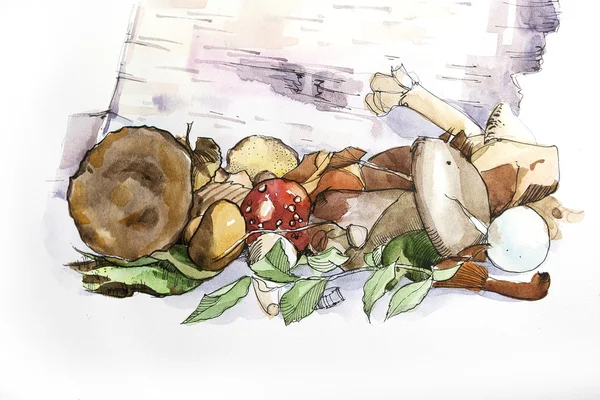 水彩图用蘑菇 — 图库照片