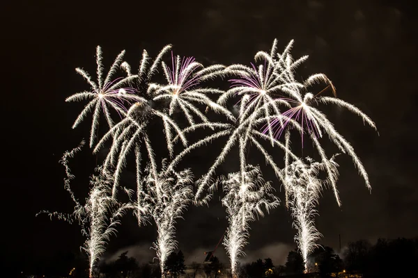 Fireworks — Stock Photo, Image