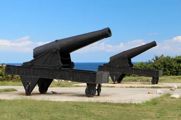 Two cannon — Stock Photo, Image