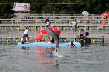 Dolphinarium in Varadero clipart