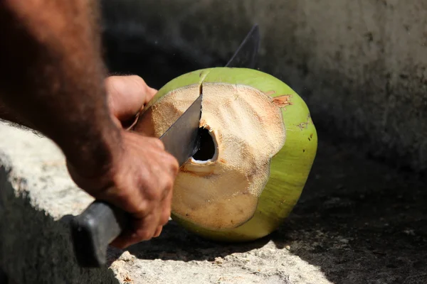 Cutting coconut — Stock Photo, Image