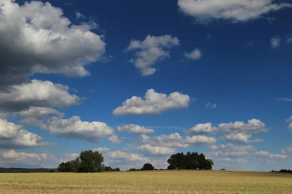 Champ et ciel bleu — Photo