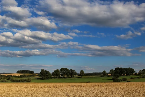 Campo e céu azul — Fotografia de Stock