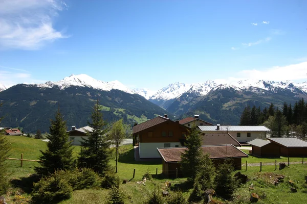 Zomer Alpen — Stockfoto