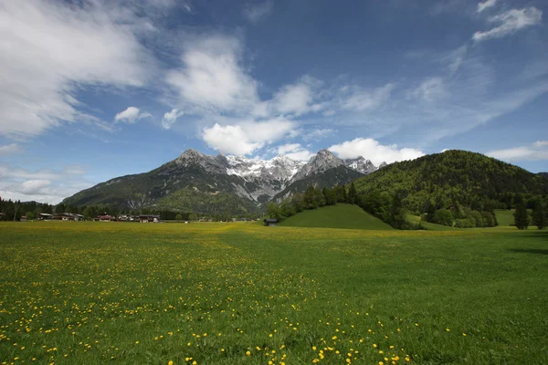 Alpes d'été — Photo