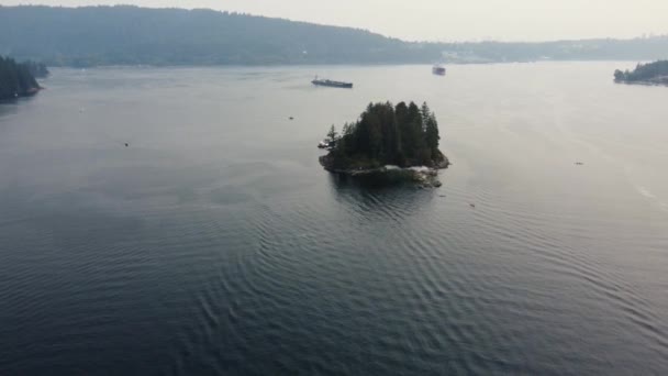 Vue Aérienne Rivière Une Petite Île Avec Des Arbres Surplombant — Video