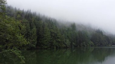 Sis kaplı ladin ormanının yansımasıyla su manzarası