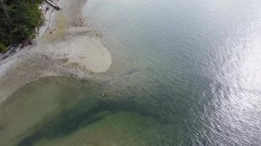 Yeşil suyu ve küçük akıntısı olan kumlu bir sahil manzarası