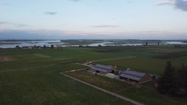 Drohnenaufnahmen Von Grünen Feldern Mit Zwei Hangars Vor Blauem Himmel — Stockvideo