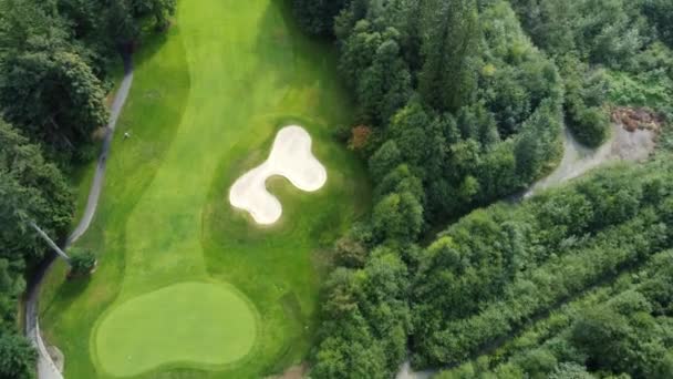 Blick Aus Der Vogelperspektive Auf Einen Hellgrünen Golfplatz Zwischen Bäumen — Stockvideo