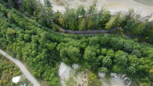 Drone Tiro Uma Pequena Floresta Costa Uma Praia Areia Com — Vídeo de Stock