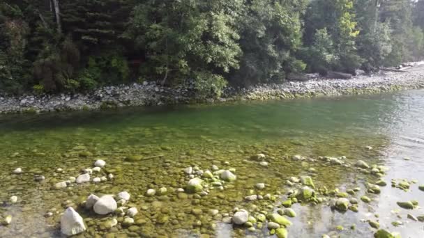 Skalnatý Břeh Zátoky Blízko Hustého Lesa Teplého Podzimního Dne Jasného — Stock video