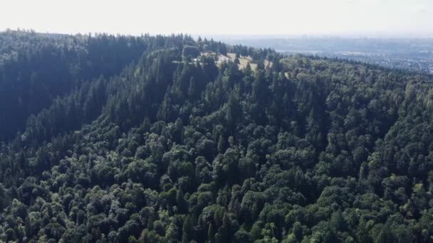 Montanha Poderosa Coberta Por Uma Densa Floresta Verde Escura Num — Vídeo de Stock