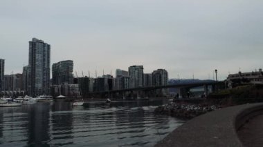 Vancouver 'daki stadyum Ukrayna bayrağı şeklinde aydınlatılmıştır.