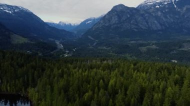 Uçurumun eteğindeki kozalaklı ormandan pürüzsüz uzaklık