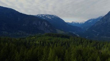 Vancouver 'da uzun uçurumları olan insansız hava aracı kozalaklı ağaçlarla çekim yapmak