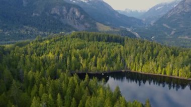Uçurumun arka planındaki güneş kozalaklı bir ormanın havadan görünüşü