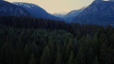 Kozalaklı tepenin yükselen manzarası arka planda bir çember ve uçurumlar