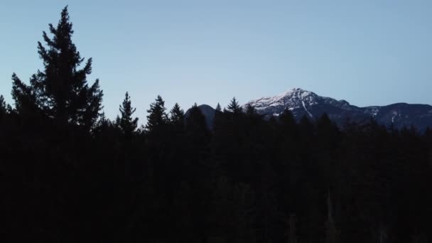 Filmdreh Der Klippe Geht Nadelwald Unter — Stockvideo