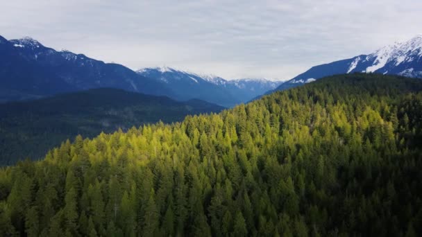 Vista Aérea Sobre Una Colina Iluminada Por Sol Con Bosque — Vídeo de stock