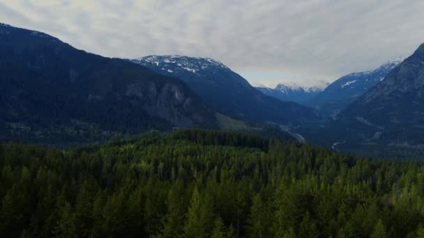 在温哥华用长悬崖峭壁的无人驾驶针叶树射击 — 图库视频影像