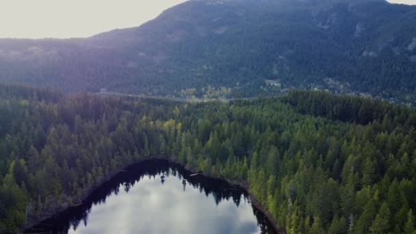 Πάνω Προς Κάτω Θέα Της Λίμνης Ένα Κωνοφόρο Δάσος Μετατρέπεται — Αρχείο Βίντεο