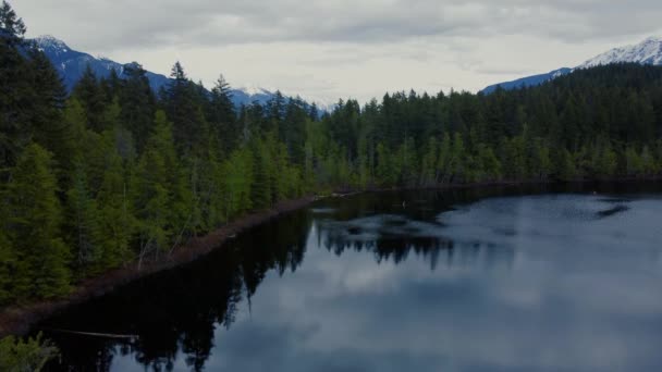 镜面湖底的景色 湖面上覆盖着针叶林 — 图库视频影像