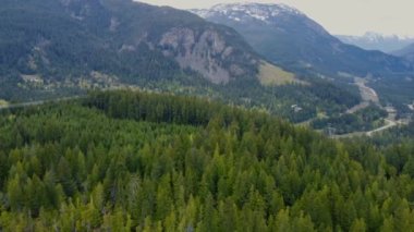 Dağların arkasındaki ormanla kaplı bir tepenin hava görüntüsü.