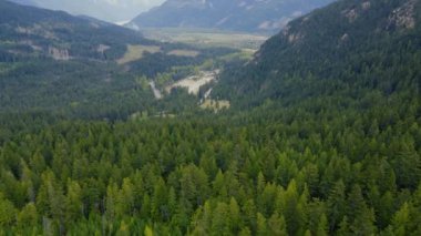 Tepelerin eteklerine bak parlak ve kalın kozalaklı ormanlarla kaplı.