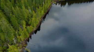 Vancouver 'da açık yeşil ağaçlarla gölün kıyısına ateş ediyorlar.