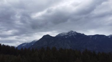 Kayaların ve bulutların arkasındaki kozalaklı ormanın derinliklerinde çekim yapıyorlar.