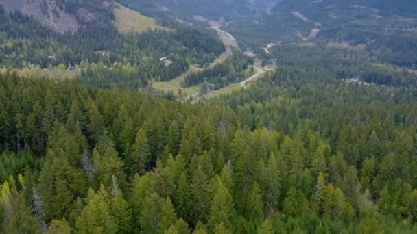 Vista Superior Sobre Brillante Bosque Coníferas Fondo Del Pie Las — Vídeo de stock