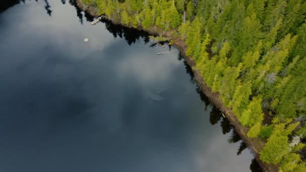 Widok Lotu Ptaka Jasnymi Drzewami Iglastymi Jeziorem Lustrzanym — Wideo stockowe