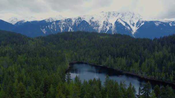 背景に湖のある鬱蒼とした森の空中風景雪に覆われた崖 — ストック動画