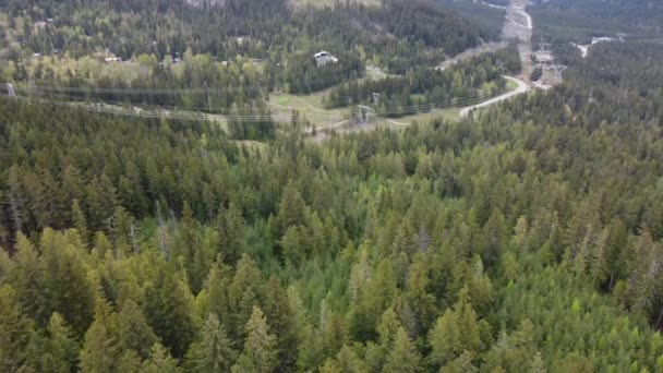 Vista Superior Carretera Conífera Gruesa Bosque Vancouver — Vídeo de stock