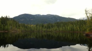 Kuzey Amerika 'daki bir gölde dağ ve yeşil orman yansıması
