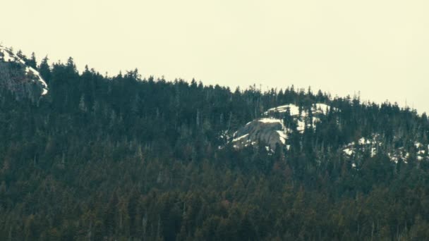 Vista Lente Larga Cima Montaña Con Abetos Piedras Cubiertas Nieve — Vídeos de Stock
