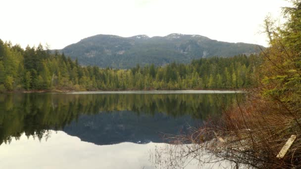 Кришталеве Чисте Озеро Канаді Сонячний Ранок Лісом Горами — стокове відео