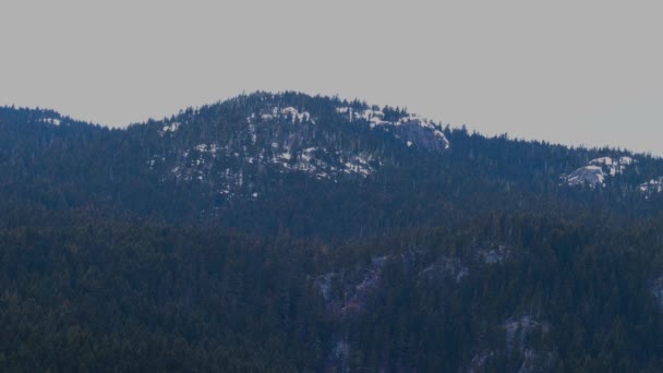 Vista Estática Las Montañas Cubiertas Abetos Rocas Poco Nieve — Vídeos de Stock