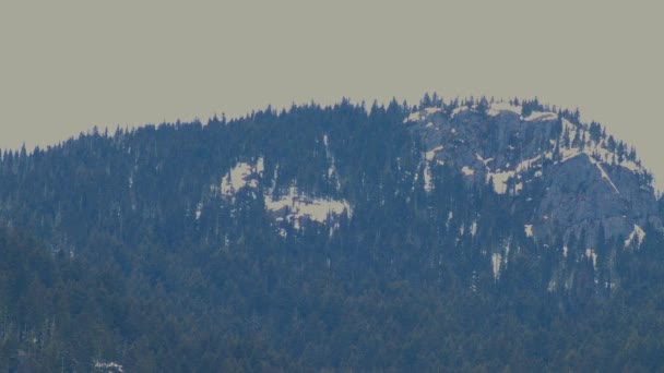 在遥远的山顶上 岩石和云杉覆盖着群山 — 图库视频影像